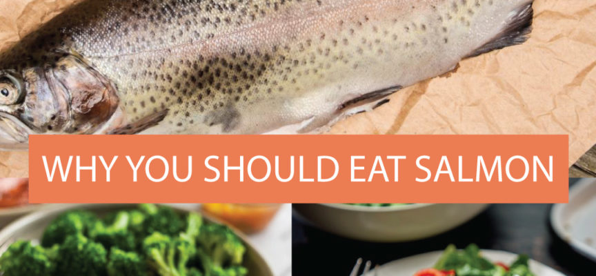 WHY YOU SHOULD EAT SALMON