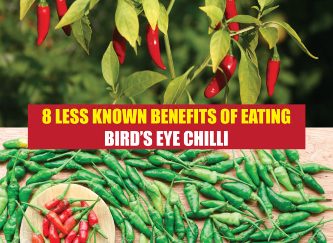 8 LESS KNOWN BENEFITS OF EATING BIRD’S EYE CHILLI