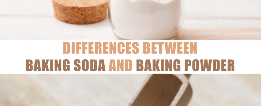 DIFFERENCES BETWEEN BAKING SODA AND BAKING POWDER