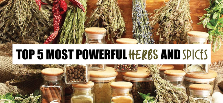 TOP 5 MOST POWERFUL HERBS AND SPICES
